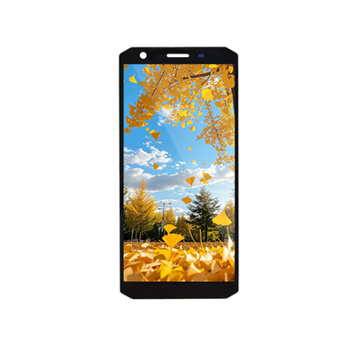 अच्छी कीमत 5.45 Inch TFT LCD Display Module 720x1440 MIPI Interface ऑनलाइन